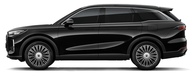 tiggo-9